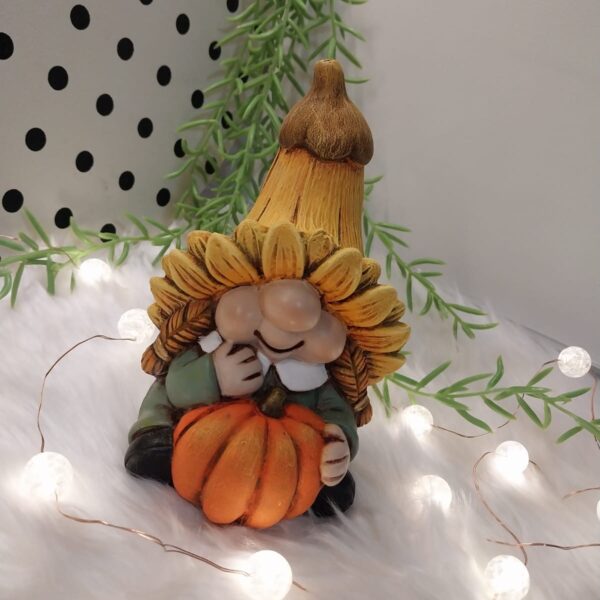 KABAKLI GNOME SİLİKON KALIBI