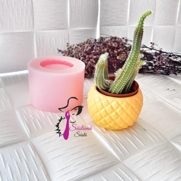 ANANAS SAKSI SİLİKON KALIBI