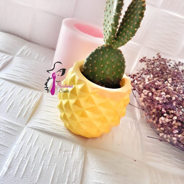 UZUN ANANAS SAKSI SİLİKON KALIBI