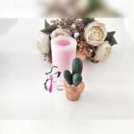 3. SAKSILI KAKTÜS SİLİKON KALIBI