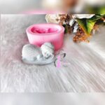 UGUR BÖCEĞİ BEBEK SİLİKON KALIBI