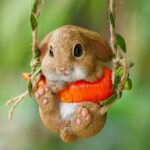 Sallanan Tavşan Kalıbı