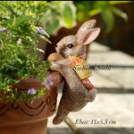 TAVŞAN SAKSI SÜSÜ