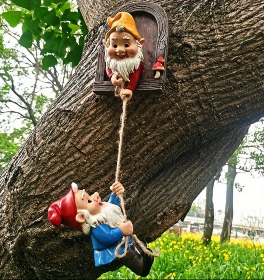 Pencereli Tırmanan Cüce Kalıbı - Görsel 3