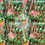 YAPRAKTA SALLANAN AYI SİLİKON KALIBI