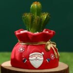 Kese Noel Silikon Kalıbı